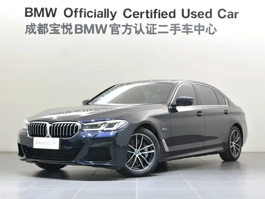 BMW 5 Series New Energy 2023