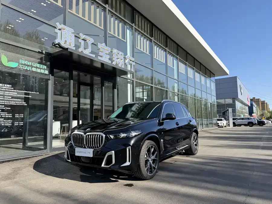 BMW X5 2025