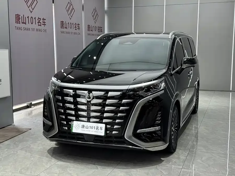 BYD D9 2024