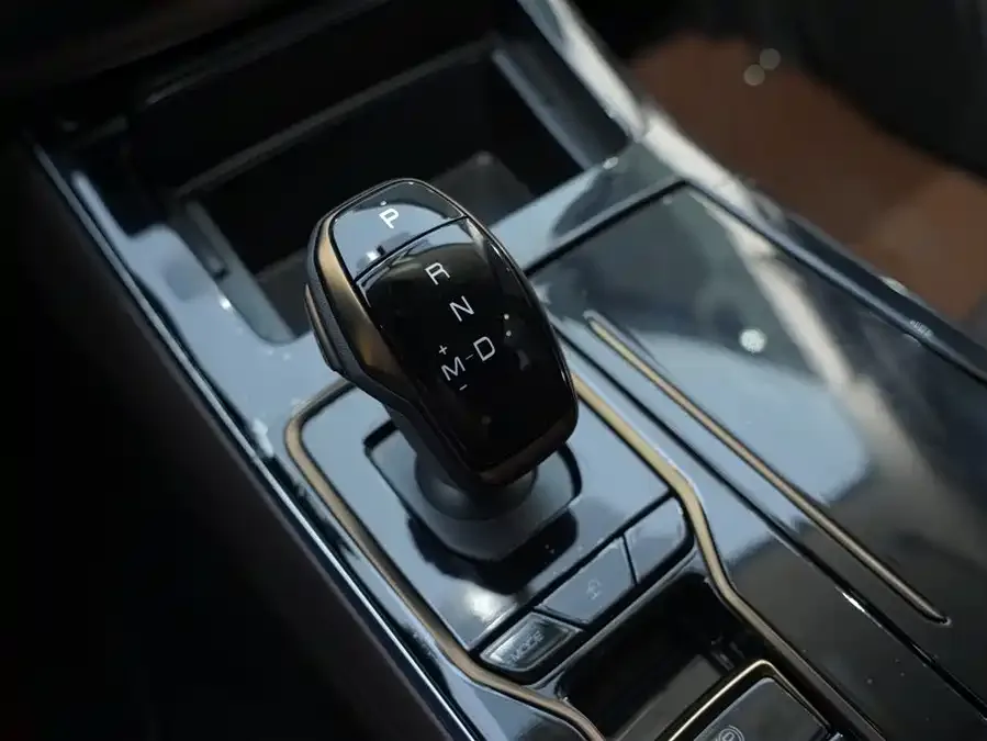 Dongfeng Paladin Paladin 2023 2.0T Gasoline 4WD Premium Edition 2024 — миниатюра 5