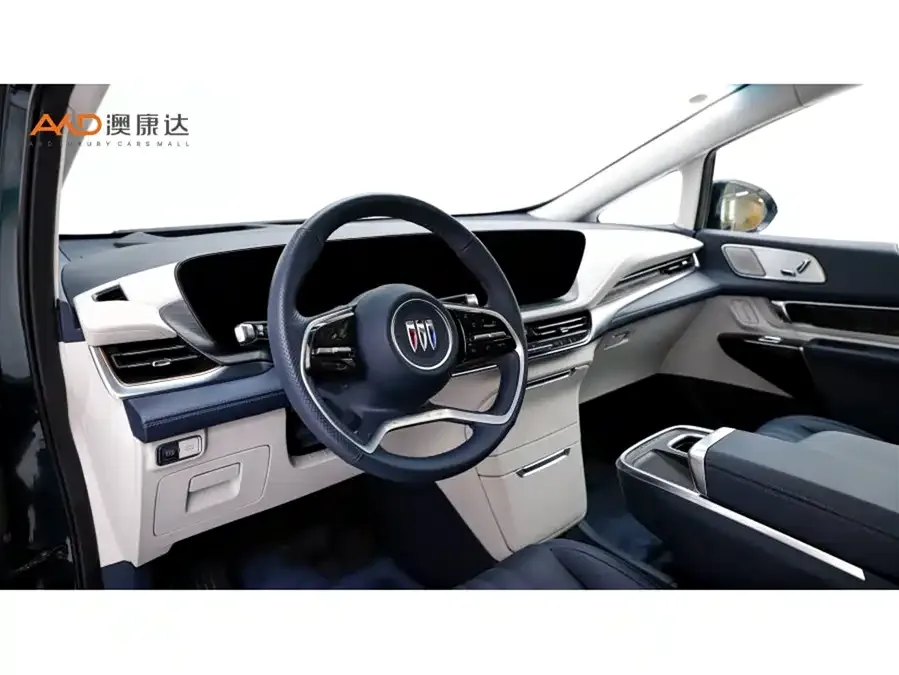Buick Century Century 2023 2.0T Four-seat Private Edition 2022 — миниатюра 2