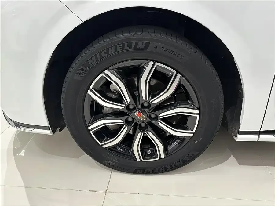 Hongqi HQ9 Hongqi HQ9 2023 2.0T Intelligent Connection Flagship Edition 2023 — миниатюра 2