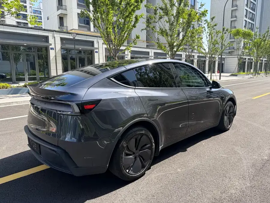 Tesla Model Y Model Y 2025 rear-wheel drive version 2025 — миниатюра 3
