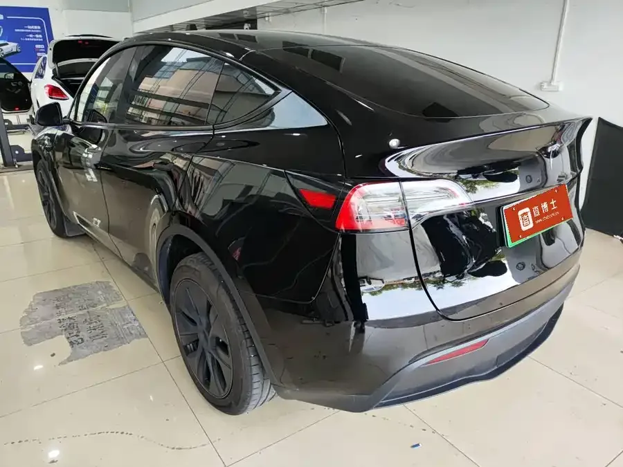 Tesla Model Y Model Y 2024 long-range all-wheel drive version 2024 — миниатюра 2