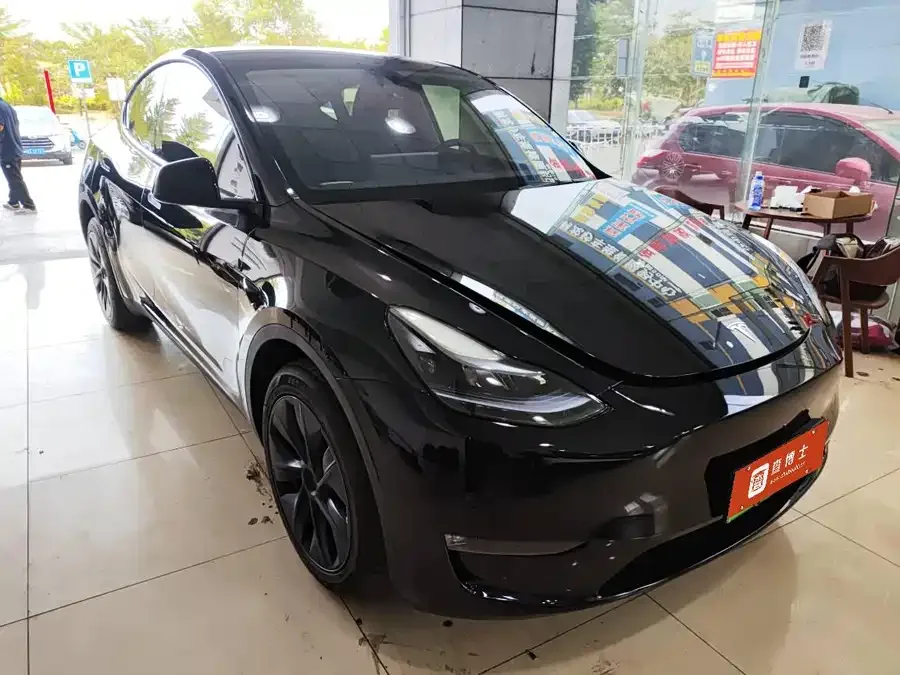Tesla Model Y Model Y 2024 long-range all-wheel drive version 2024 — миниатюра 4