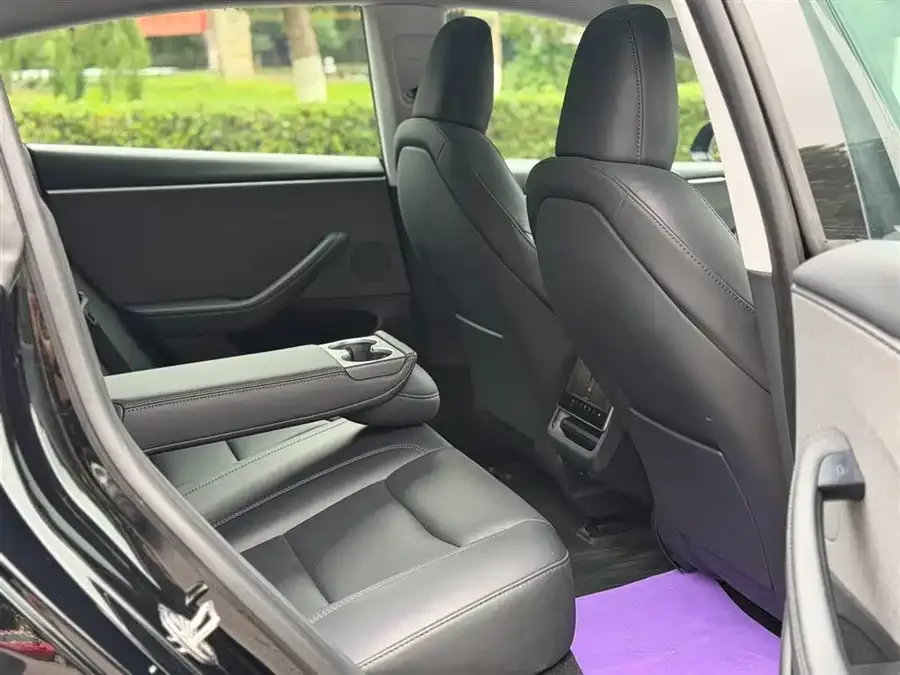 Tesla Model 3 Model 3 2023 rear-wheel drive version 2023 — миниатюра 3