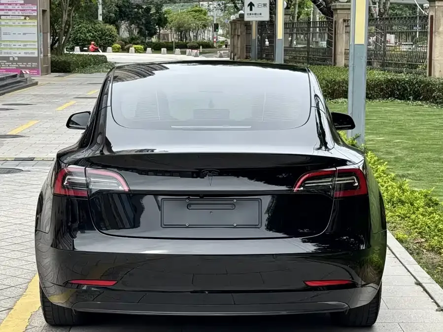 Tesla Model 3 Model 3 2022 rear-wheel drive version 2023 — миниатюра 5