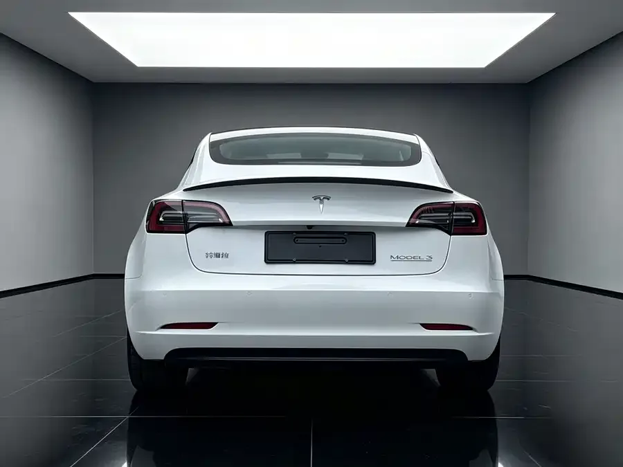 Tesla Model 3 Model 3 2022 Performance high-performance all-wheel drive version 2022 — миниатюра 3