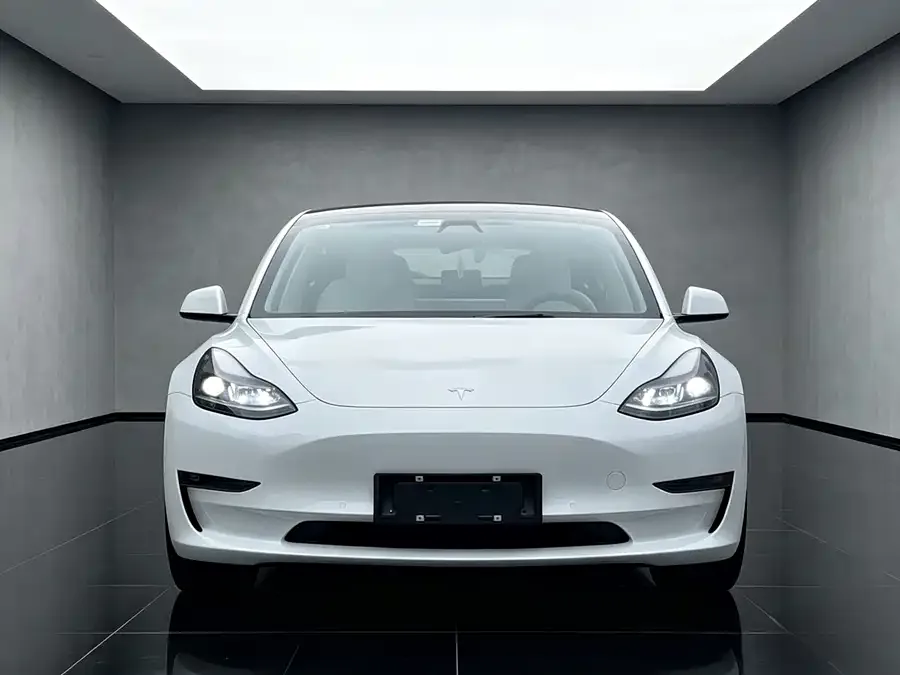 Tesla Model 3 Model 3 2022 Performance high-performance all-wheel drive version 2022 — миниатюра 4