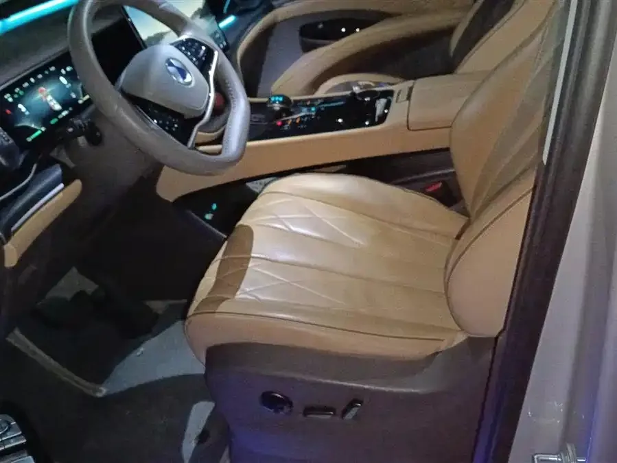 BYD D9 DENZA D9 2022 DM-i 970 4WD Premium Edition 2023 — миниатюра 3