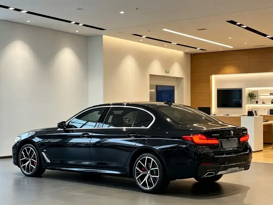 BMW 5 Series BMW 5 Series 2022 530Li Exclusive Luxury Package 2022 — миниатюра 5