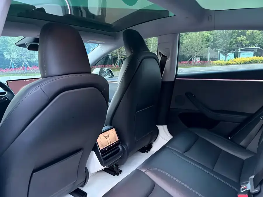 Tesla Model 3 Model 3 2023 rear-wheel drive version 2024 — миниатюра 2