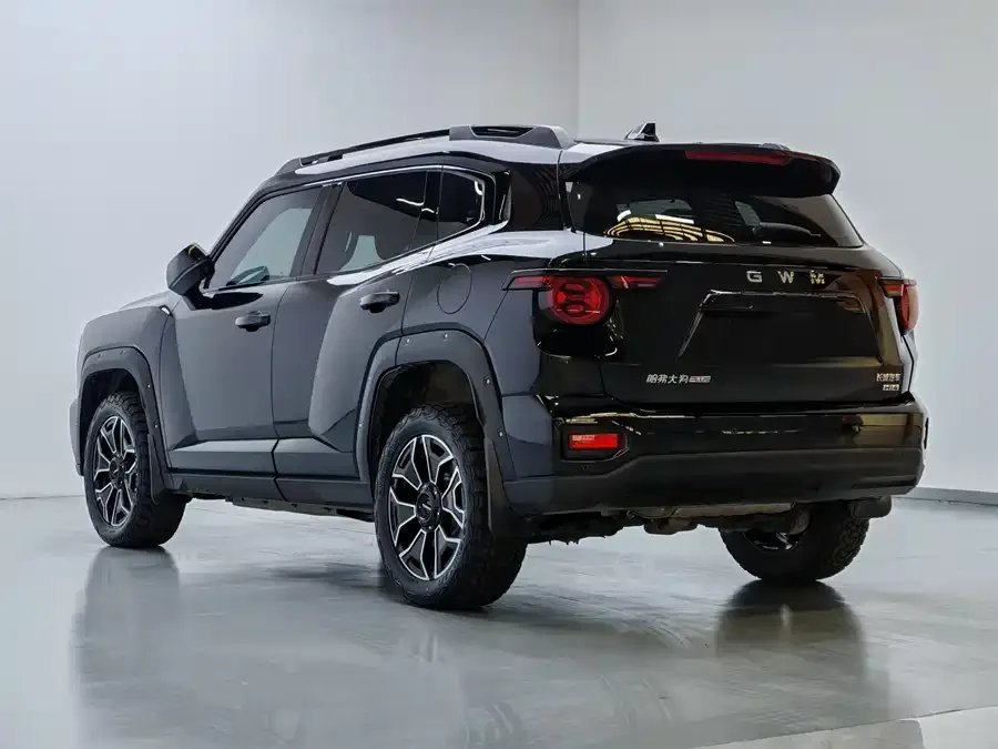 Haval Big Dog PLUS New Energy Haval Big Dog PLUS New Energy 2026 Hi4 150km Trendy Electric Edition 2025 — миниатюра 3