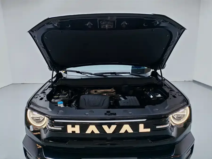 Haval Big Dog PLUS New Energy Haval Big Dog PLUS New Energy 2026 Hi4 150km Trendy Electric Edition 2025 — миниатюра 5