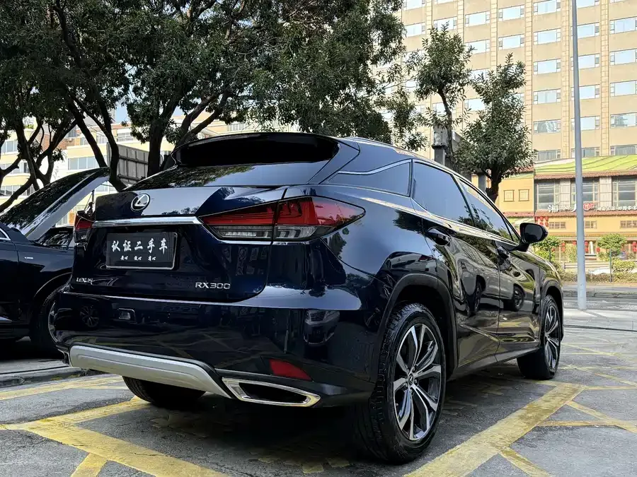 Lexus RX 2021 300 four-wheel drive special edition 2022 — миниатюра 2