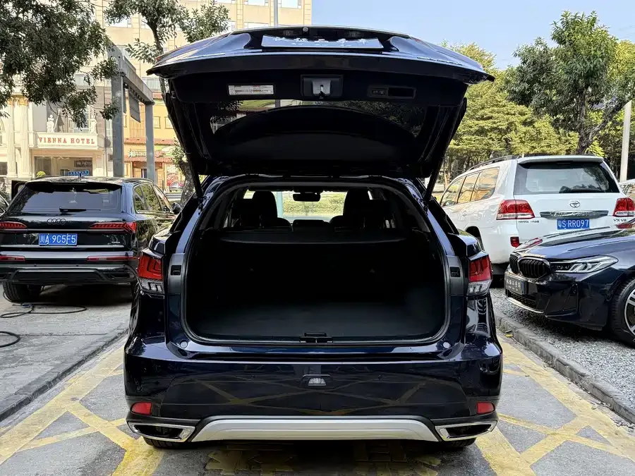 Lexus RX 2021 300 four-wheel drive special edition 2022 — миниатюра 5