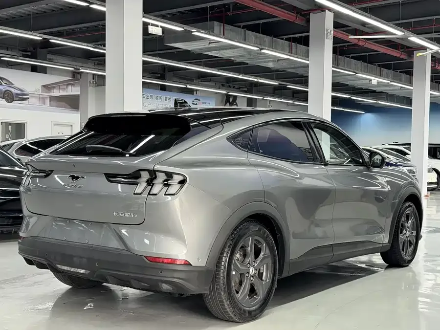 Ford electric horse Ford E-horse 2021 rear-wheel drive version (standard range) 2022 — миниатюра 3