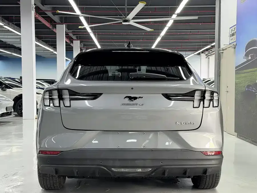 Ford electric horse Ford E-horse 2021 rear-wheel drive version (standard range) 2022 — миниатюра 4