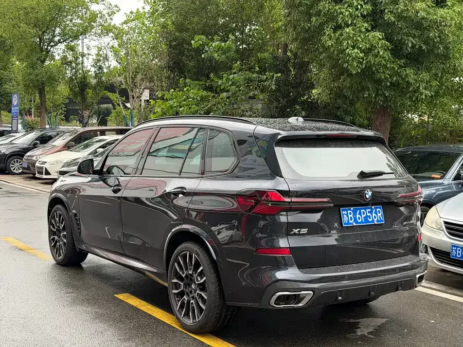 BMW X5 2025 xDrive 40Li M Sport Night Edition 2026 — миниатюра 4