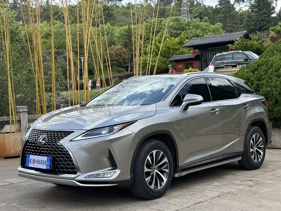 Lexus RX 2020 facelift 300 two-wheel drive elite version 2022 — фото 1, купить с доставкой в Москву