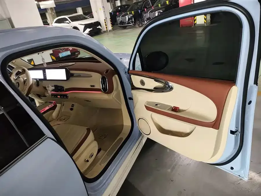 ORA ballet cat Ora Ballet Cat 2023 401km Premium Edition 2025 — миниатюра 4