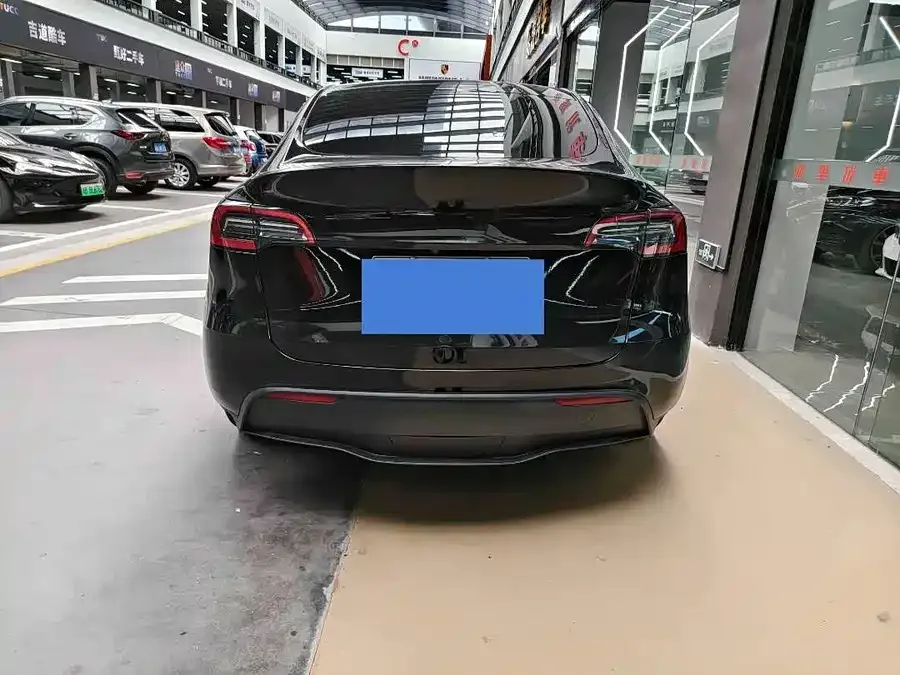 Tesla Model Y Model Y 2023 long-range all-wheel drive version 2023 — миниатюра 4