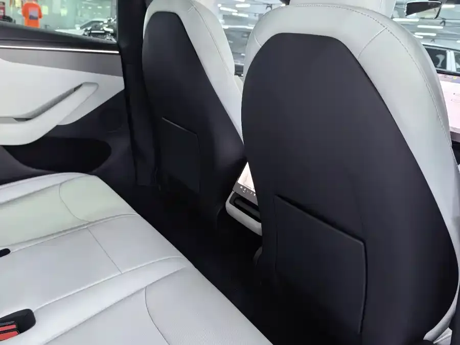 Tesla Model Y Model Y 2026 Long Range Rear-Wheel Drive 2026 — миниатюра 2