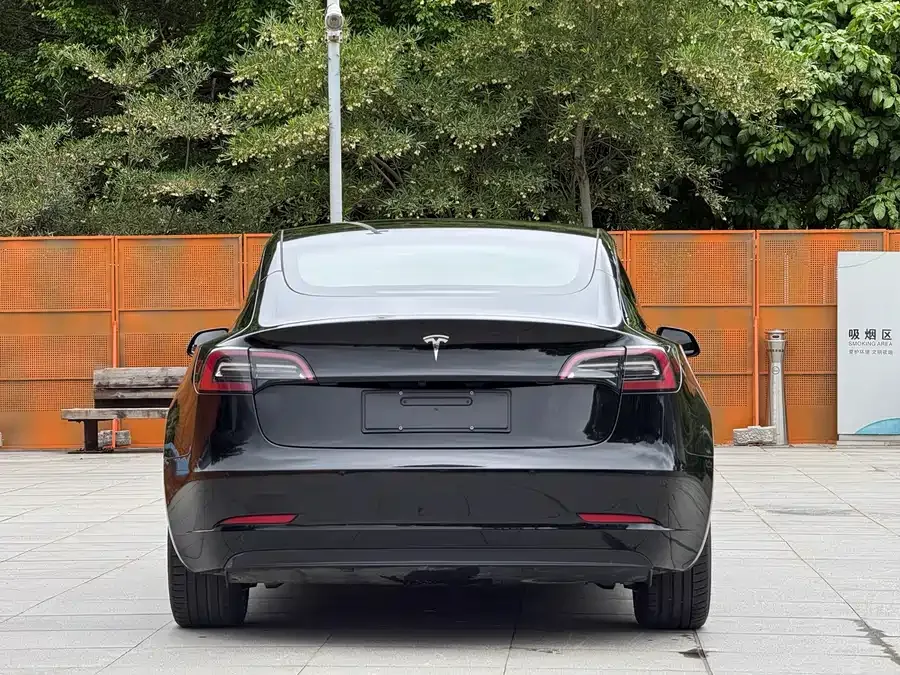 Tesla Model 3 Model 3 2022 rear-wheel drive version 2022 — миниатюра 2