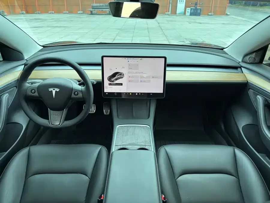 Tesla Model 3 Model 3 2022 rear-wheel drive version 2022 — миниатюра 3