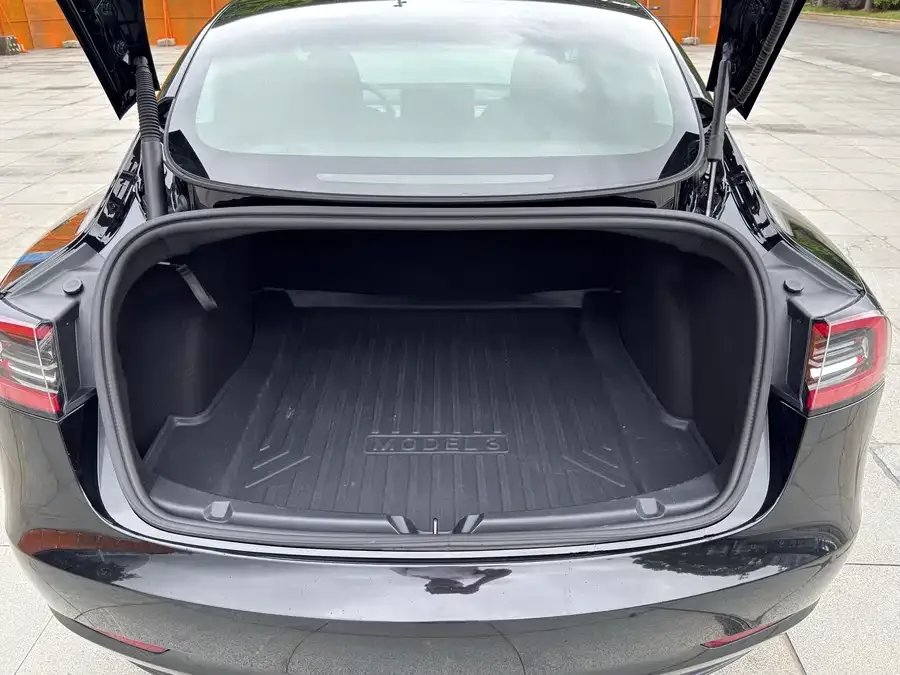 Tesla Model 3 Model 3 2022 rear-wheel drive version 2022 — миниатюра 4