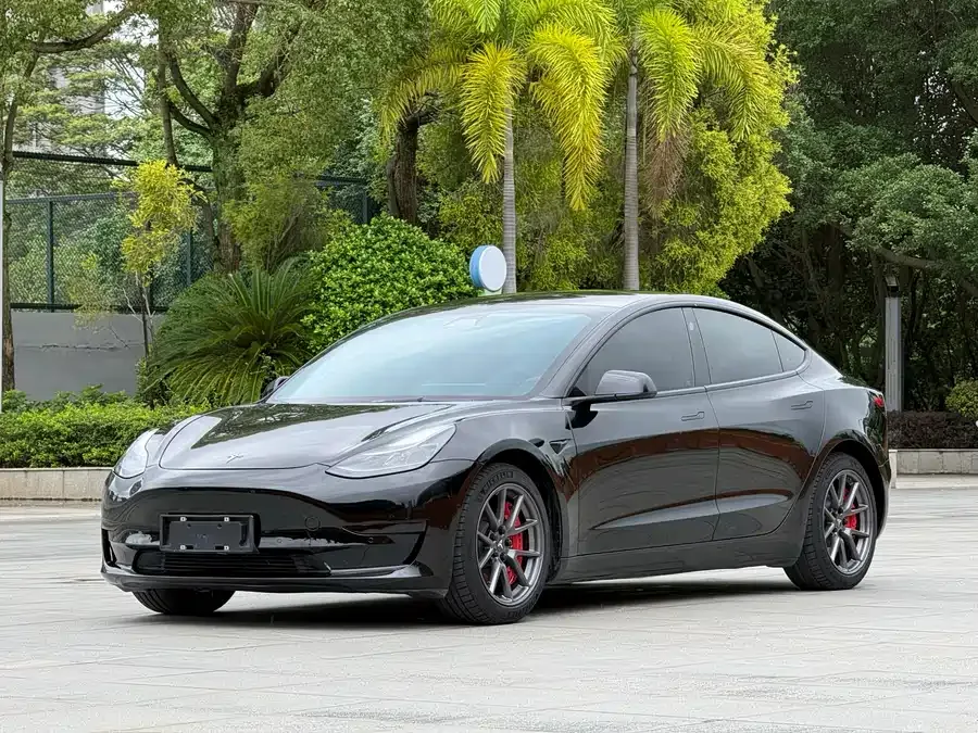 Tesla Model 3 2022