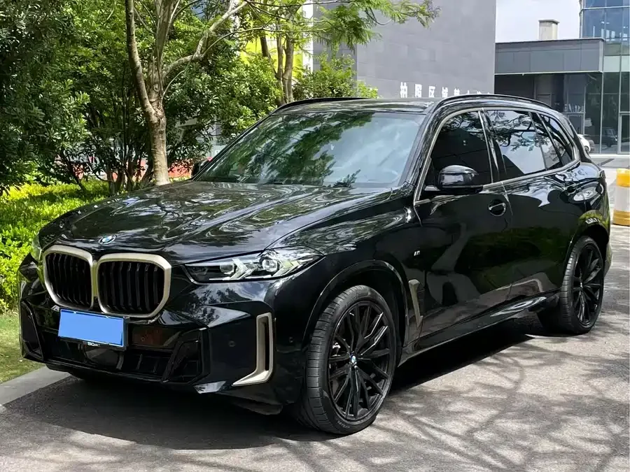 BMW X5 2024