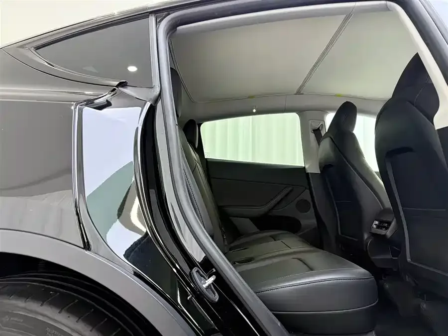 Tesla Model Y Model Y 2023 long-range all-wheel drive version 2024 — миниатюра 3