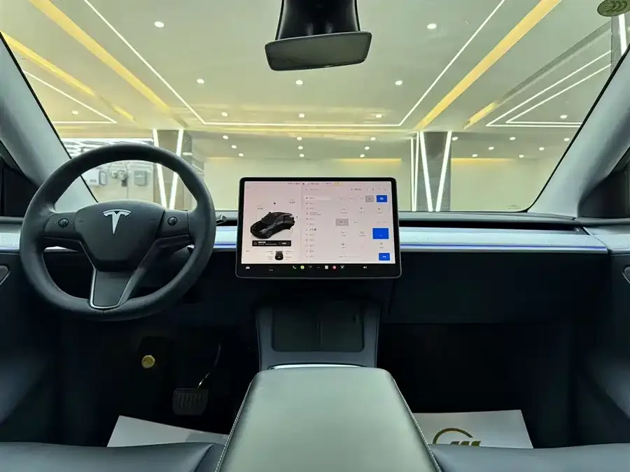 Tesla Model Y Model Y 2023 long-range all-wheel drive version 2024 — миниатюра 4