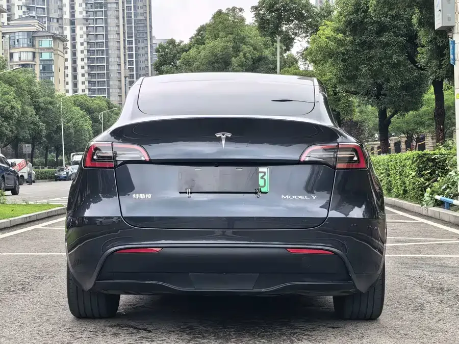 Tesla Model Y Model Y 2024 rear-wheel drive version 2024 — миниатюра 5
