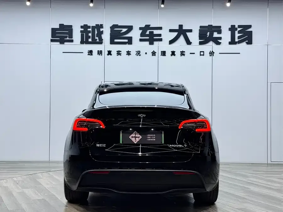 Tesla Model Y Model Y 2022 rear-wheel drive version 2022 — миниатюра 2