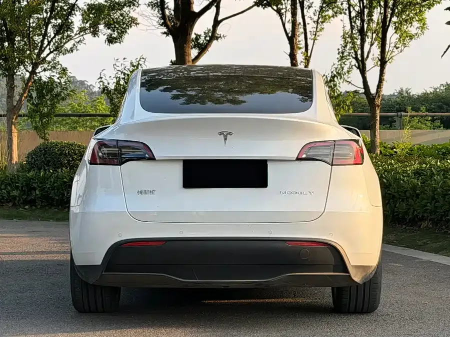 Tesla Model Y Model Y 2022 facelift long-range all-wheel drive version 2023 — миниатюра 4