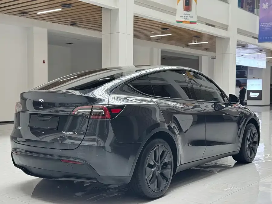 Tesla Model Y Model Y 2024 rear-wheel drive version 2025 — миниатюра 2