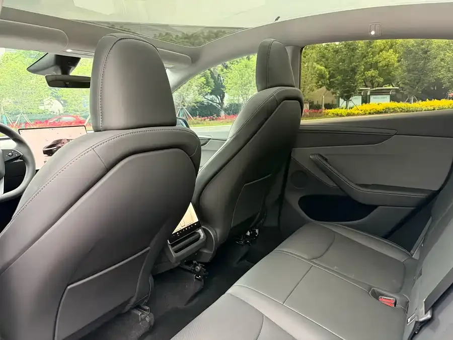 Tesla Model Y Model Y 2025 rear-wheel drive version 2025 — миниатюра 2