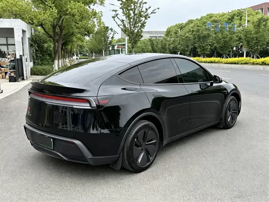 Tesla Model Y Model Y 2025 rear-wheel drive version 2025 — миниатюра 5