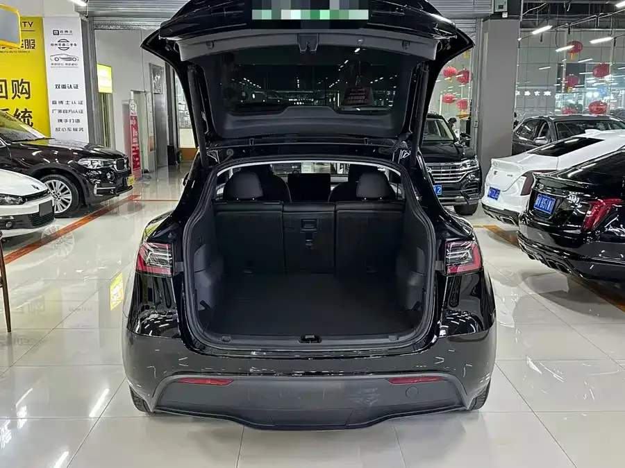 Tesla Model Y Model Y 2023 long-range all-wheel drive version 2023 — миниатюра 5