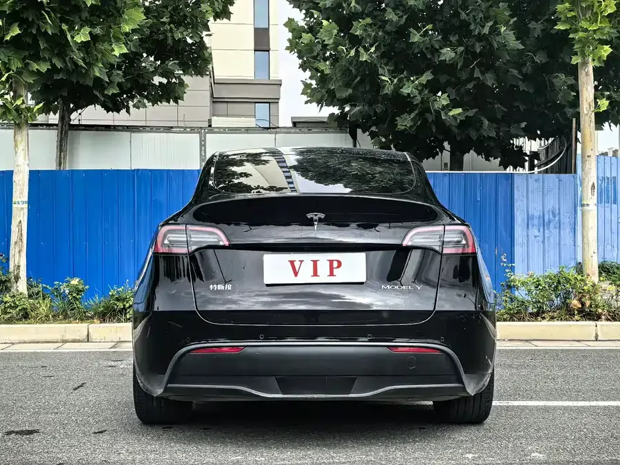 Tesla Model Y Model Y 2022 rear-wheel drive version 2022 — миниатюра 2