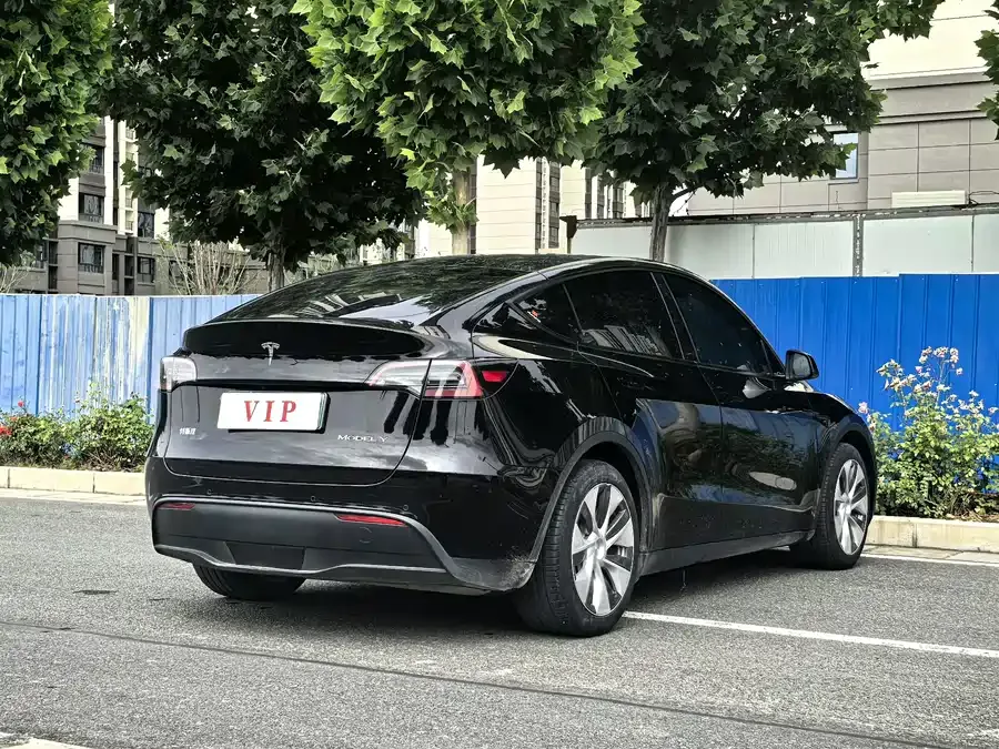 Tesla Model Y Model Y 2022 rear-wheel drive version 2022 — миниатюра 4