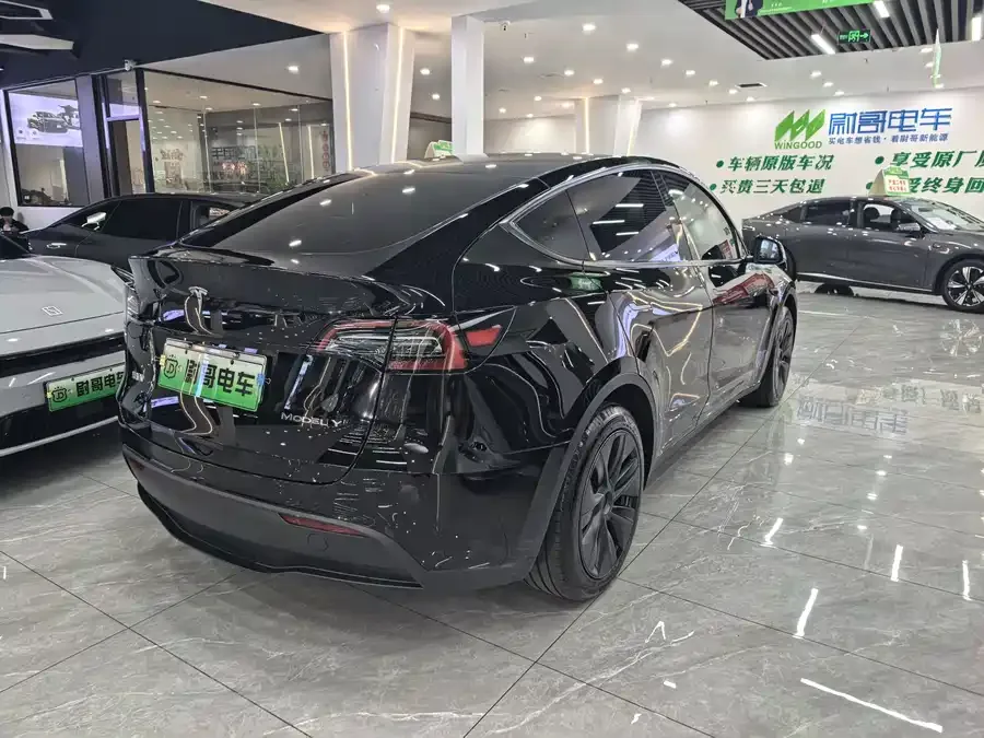 Tesla Model Y Model Y 2024 rear-wheel drive version 2024 — миниатюра 4