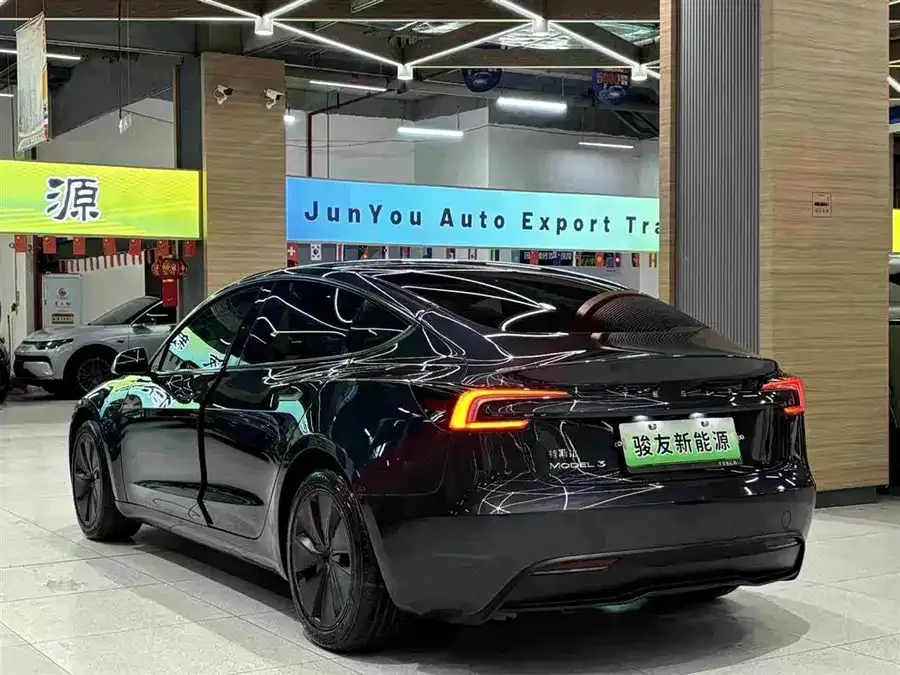 Tesla Model 3 Model 3 2025 rear-wheel drive version 2025 — миниатюра 2