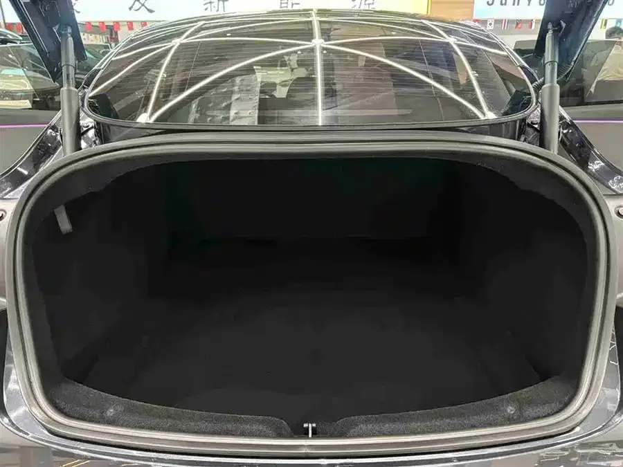 Tesla Model 3 Model 3 2025 rear-wheel drive version 2025 — миниатюра 4