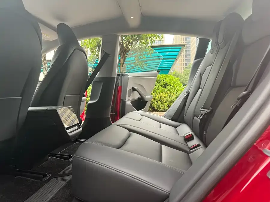 Tesla Model 3 Model 3 2025 Facelift Long Range Rear-Wheel Drive 2025 — миниатюра 3