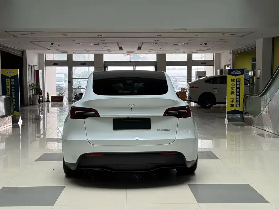 Tesla Model Y Model Y 2022 Long Range All-Wheel Drive Version 2022 — миниатюра 5