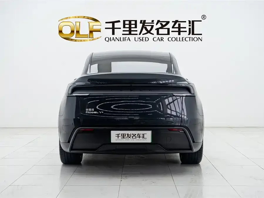 Tesla Model Y Model Y 2025 long-range all-wheel drive version 2025 — миниатюра 2