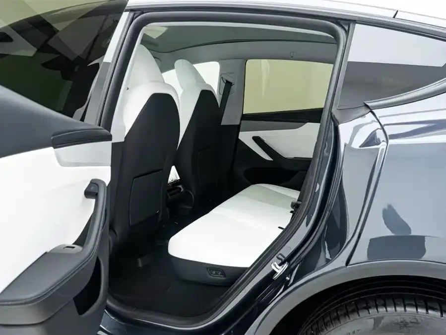 Tesla Model Y Model Y 2025 long-range all-wheel drive version 2025 — миниатюра 5